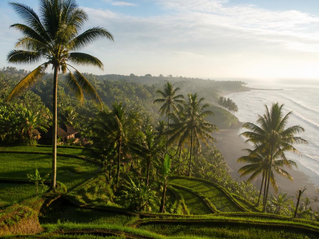 Bali Running Camp 27' — Canggu