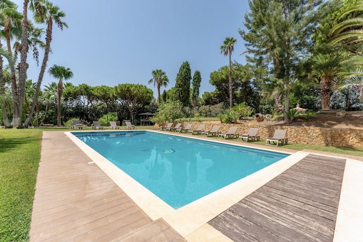 La piscina fra le palme